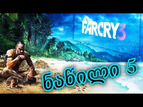 Far Cry 3 ქართულად ნაწილი 5 | ვასრულებთ სიუჟეტურ დავალებებს